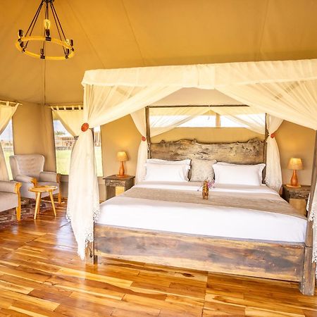 Serengeti Malaika Luxury Camp 外观 照片